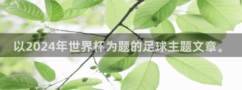 世界杯赛程2026：以2024年世界杯为题的足球主题文章。