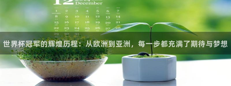 世界杯亚洲区预选赛积分榜：世界杯冠军的辉煌历程：从欧洲到亚洲，每一步都充满了期待与梦想