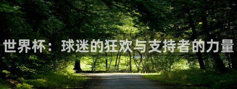 2026世界杯买球：世界杯：球迷的狂欢与支持者的力量