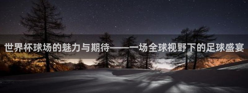 世预赛直播：世界杯球场的魅力与期待——一场全球视野下的足球盛宴