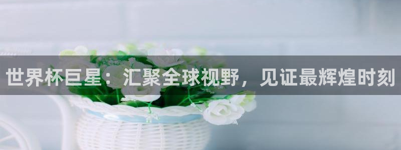 世界杯 2026：世界杯巨星：汇聚全球视野，见证最辉煌时刻