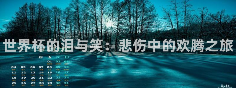 2026足球世界杯：世界杯的泪与笑：悲伤中的欢腾之旅
