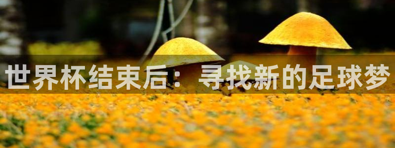 世界杯官网入口：世界杯结束后：寻找新的足球梦