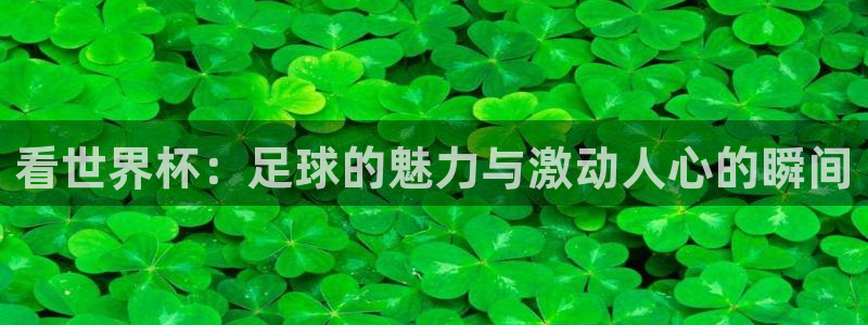 世界杯2026赛程：看世界杯：足球的魅力与激动人心的瞬间