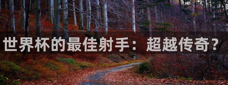 世界杯赛程表：世界杯的最佳射手：超越传奇？