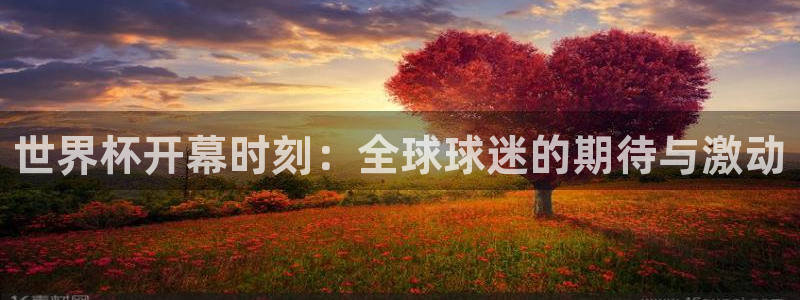 世界杯48支球队赛制：世界杯开幕时刻：全球球迷的期待与激动