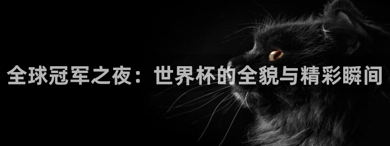 预选赛世界杯：全球冠军之夜：世界杯的全貌与精彩瞬间