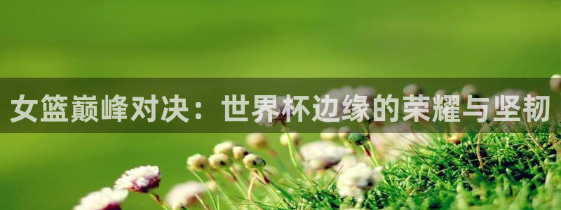 世界杯直播高清：女篮巅峰对决：世界杯边缘的荣耀与坚韧