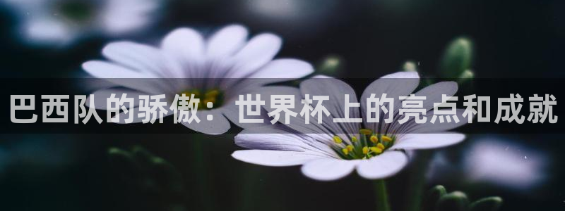 英格兰联赛杯直播：巴西队的骄傲：世界杯上的亮点和成就